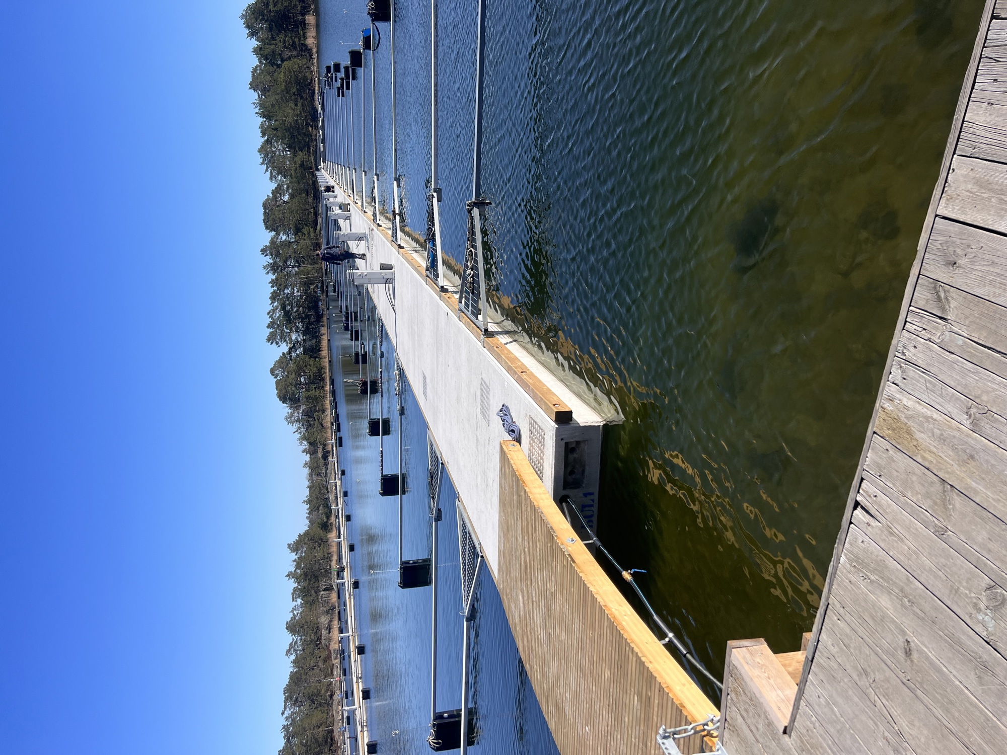 Nya, fina bryggor på plats!